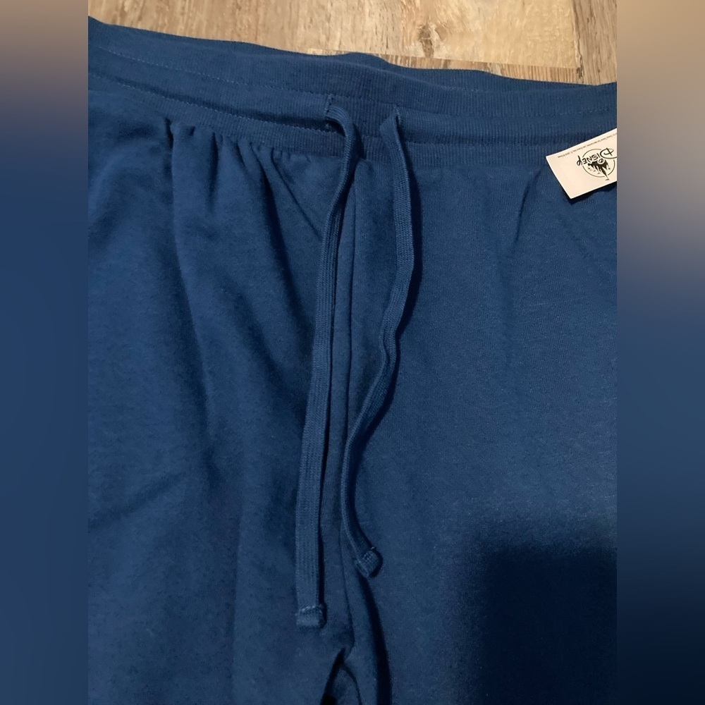 Disney Parks- Walt Disney World Blue Sweatpants - Picture 5 of 8